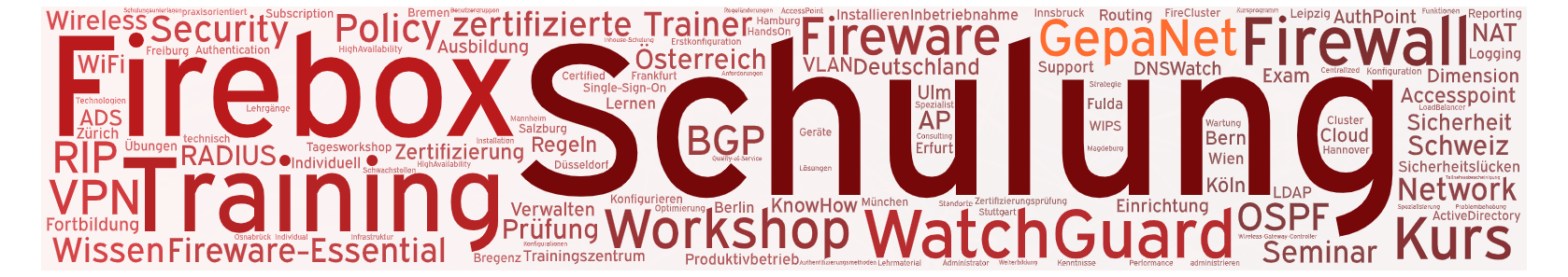 Workshop Schulung Training fr Watchguard Firebox Firewall, Network Security 